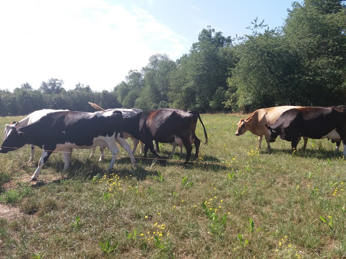 Ferme Les Pâtures