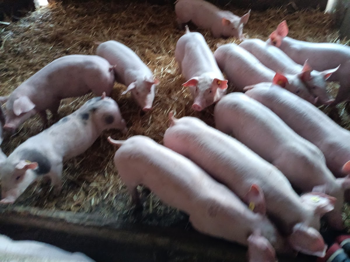 La Ferme Sainte Aubinoise