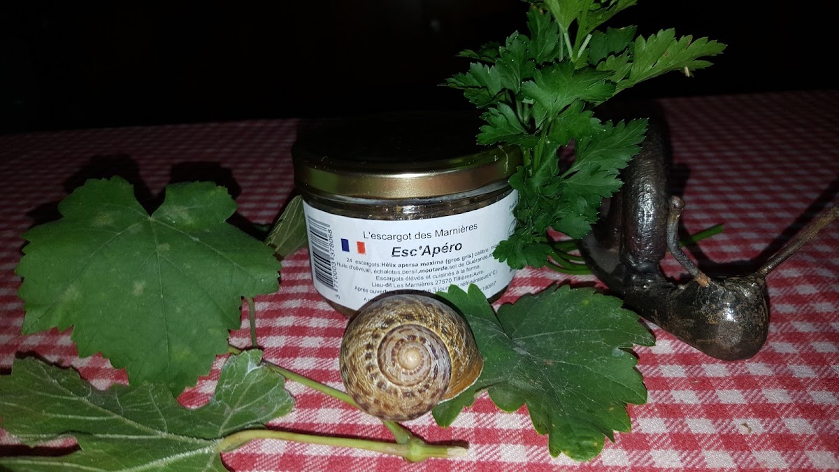 L'Escargot des Marnières photo 2