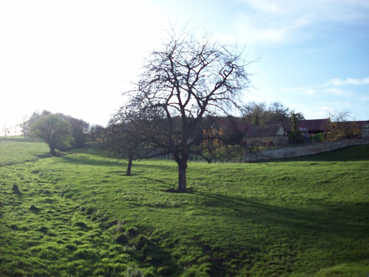 La Ferme de l'Aunay