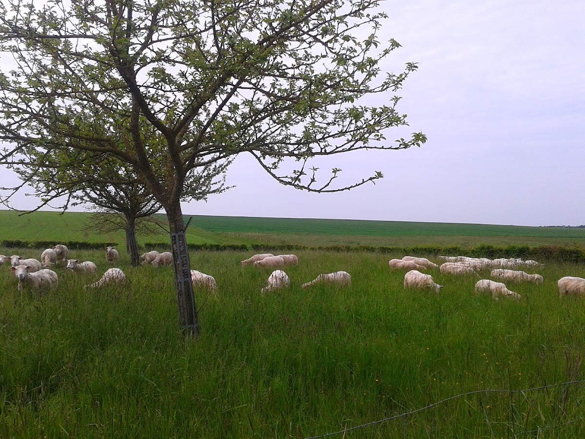 Ferme des Vieilles Maisons