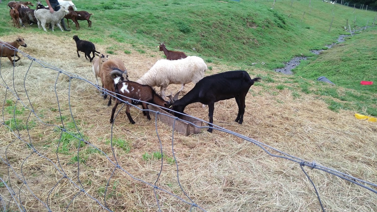 Ferme de Lucie