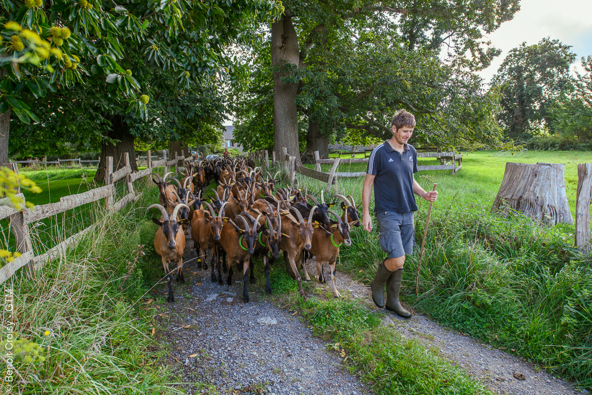 Ferme de la Chèvre Rit