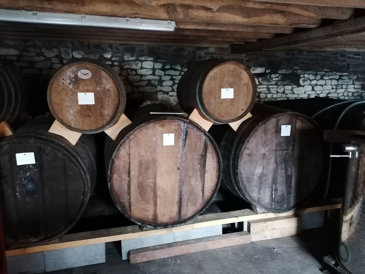 Domaine FOURMOND LEMORTON photo 2
