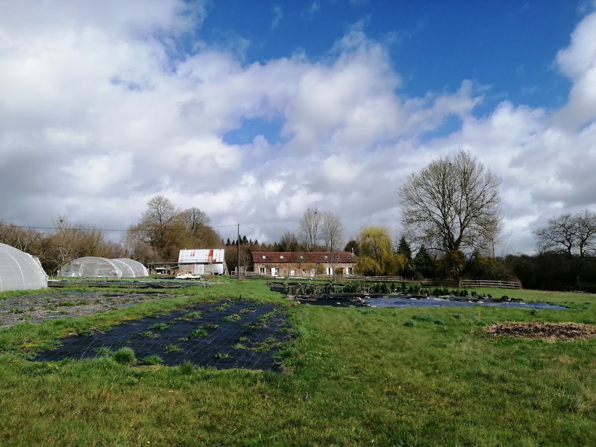 La Fermette des Marais photo 2