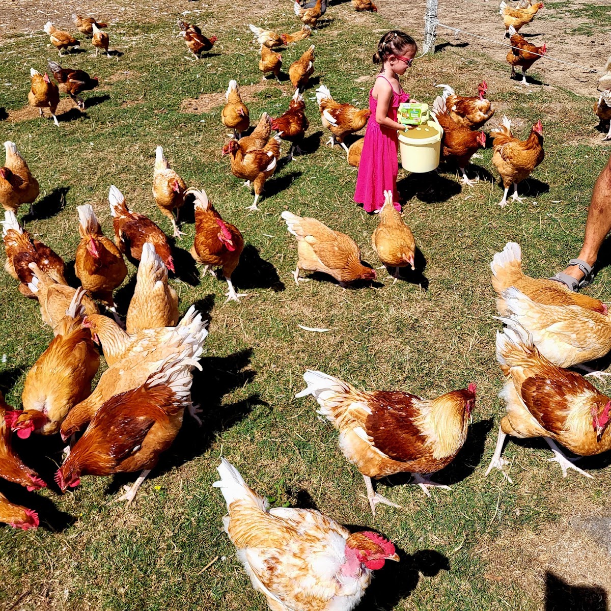 La ferme au fil des saisons