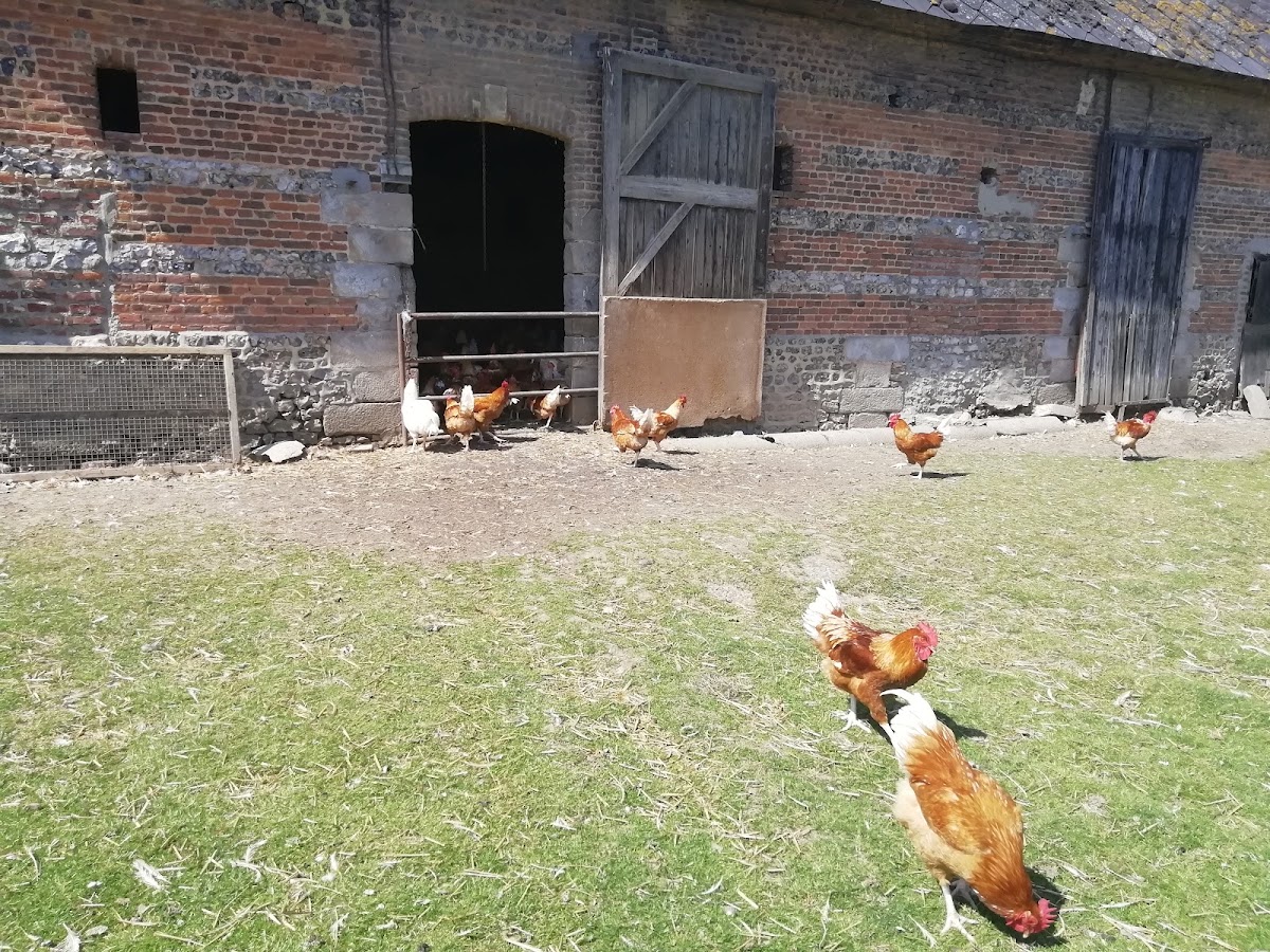 La ferme au fil des saisons photo 2