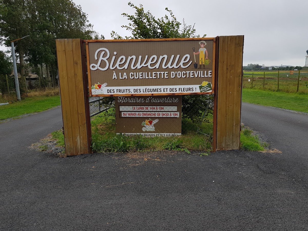 Cueillette d'Octeville photo 2