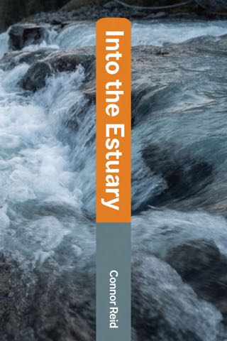 Cover of Into the Estuary