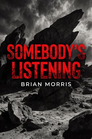 Cover of Somebody's Listening