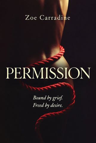 Cover of Permission