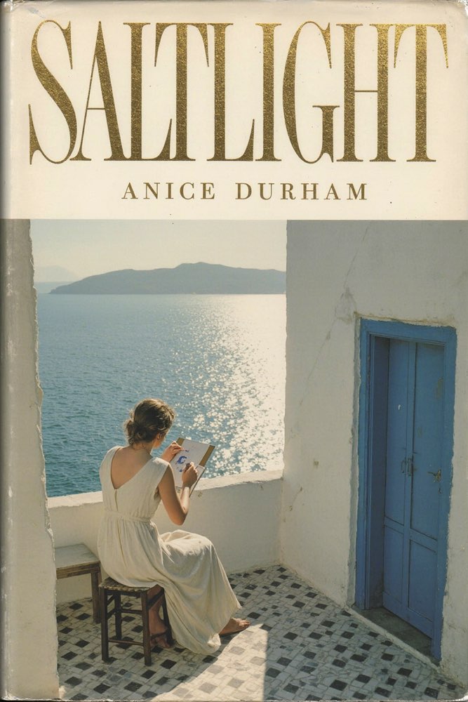 Cover of Saltlight