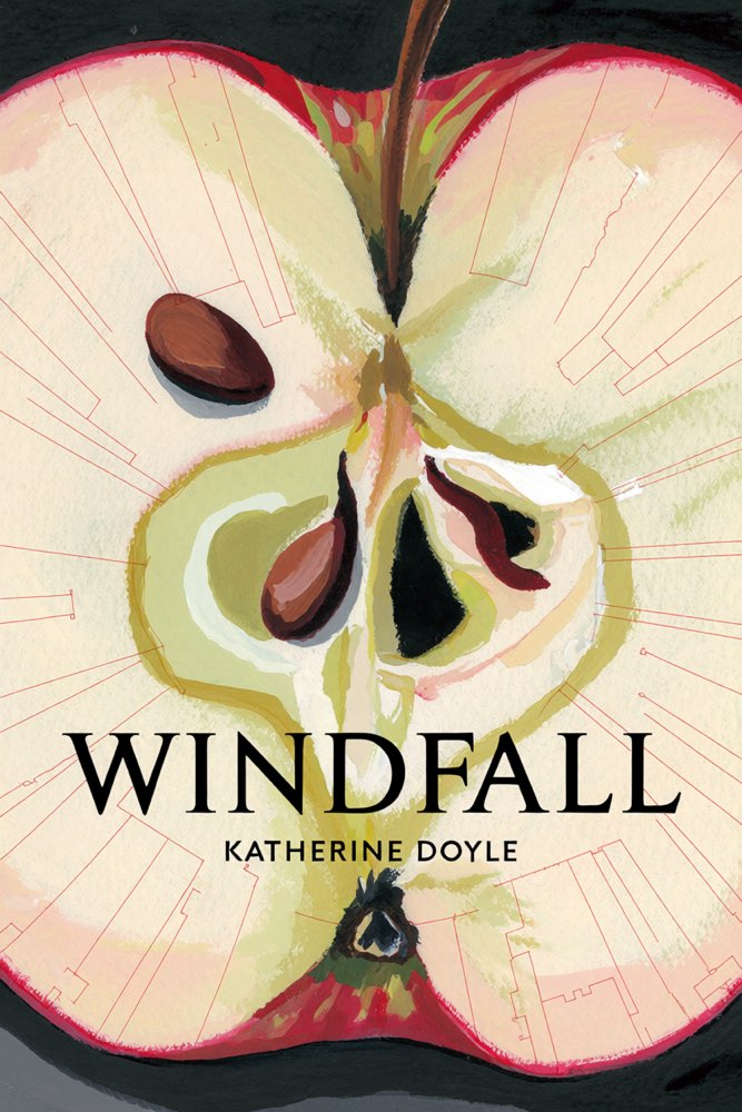 Cover of Windfall
