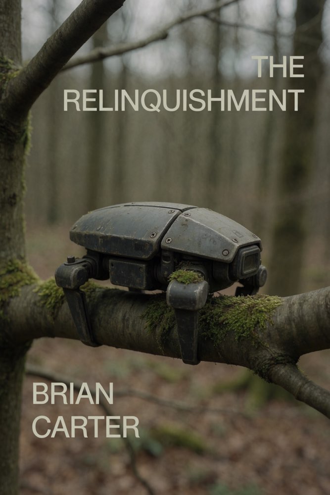 Cover of The Relinquishment