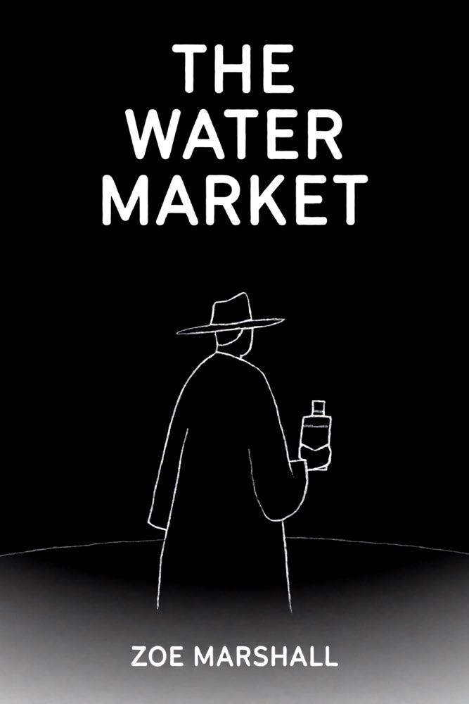 Cover of The Water Market
