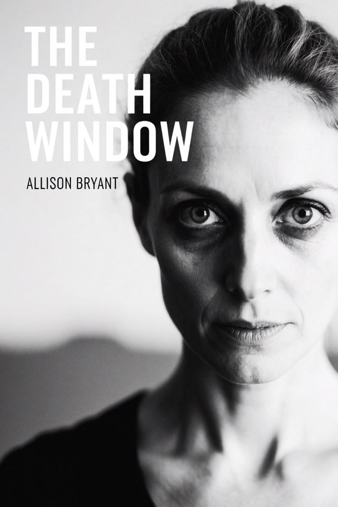 Cover of The Death Window