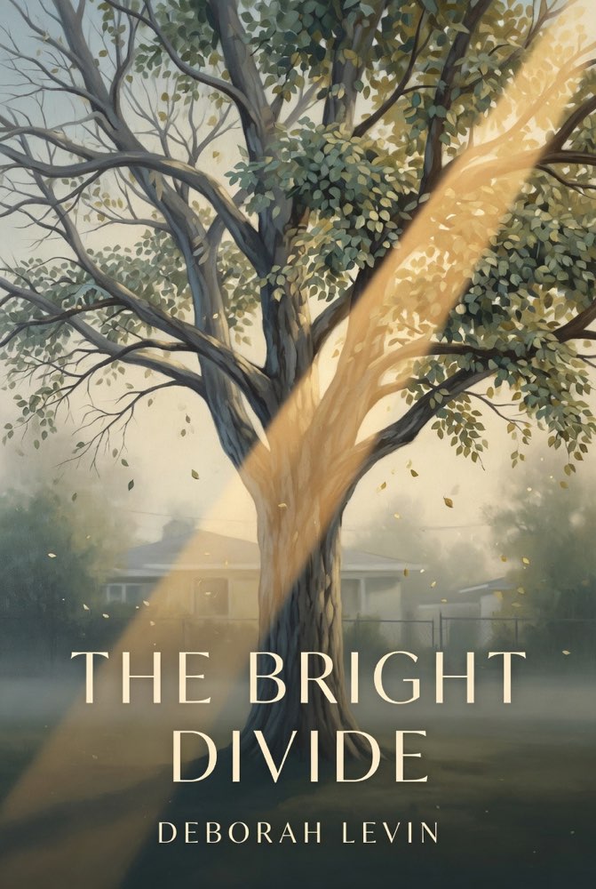 Cover of The Bright Divide