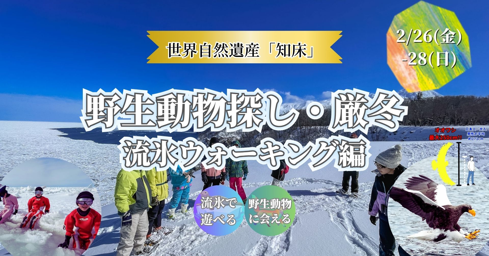 世界自然遺産・知床｜野生動物探し2027（流氷ウォーキング編）