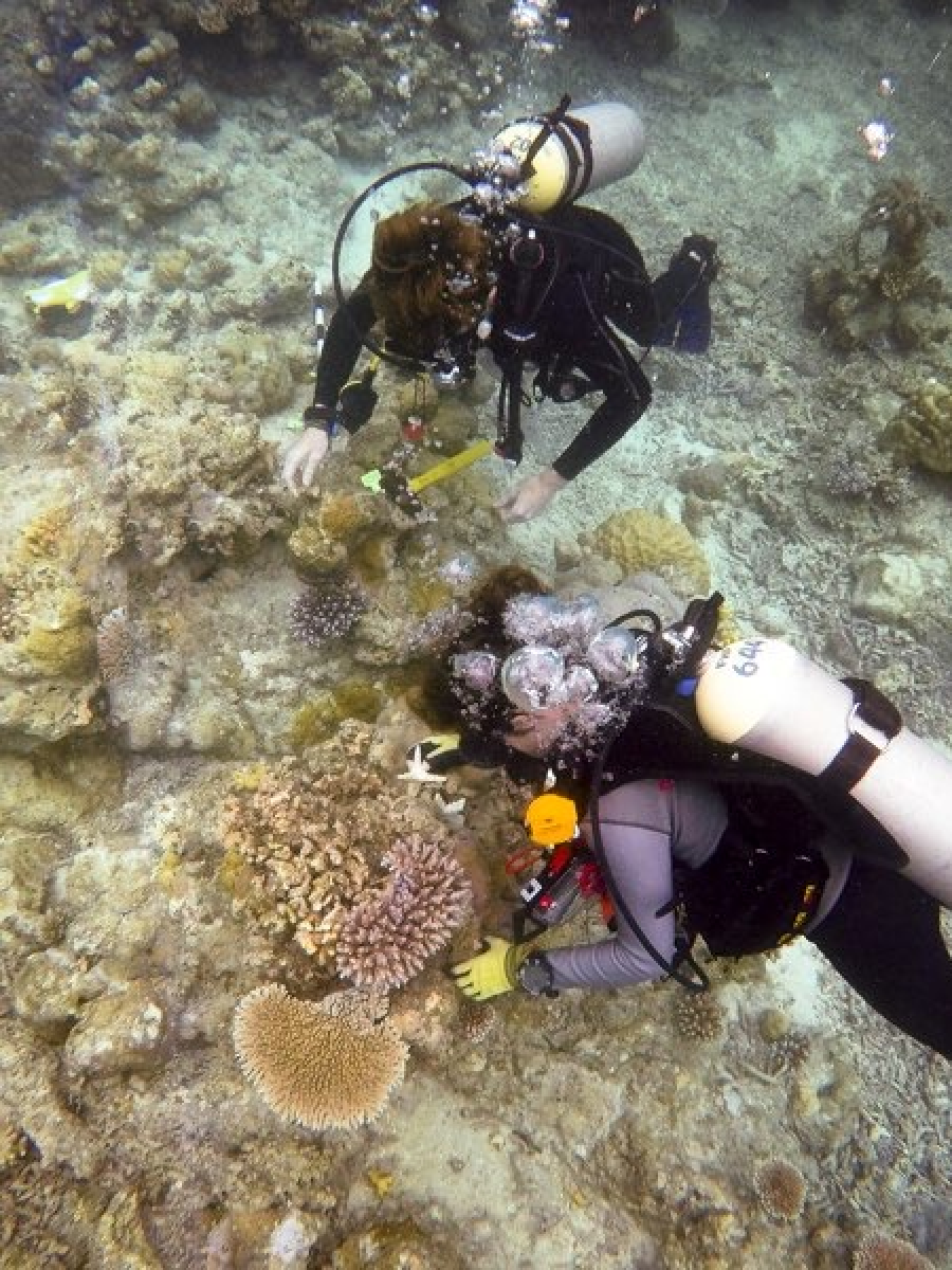 This is a test of coordinates