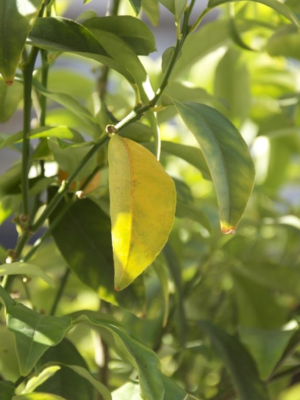 event location test 2