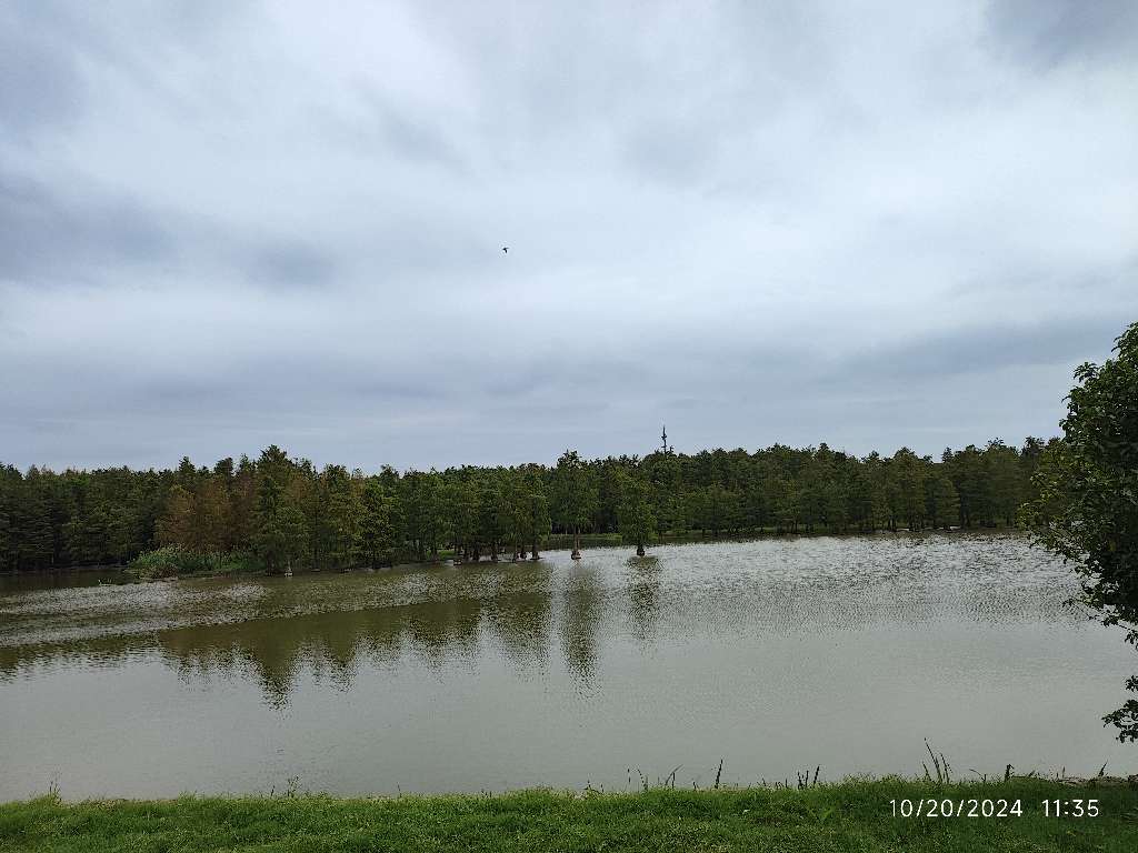 Review Shanghai Dongfang lvzbou