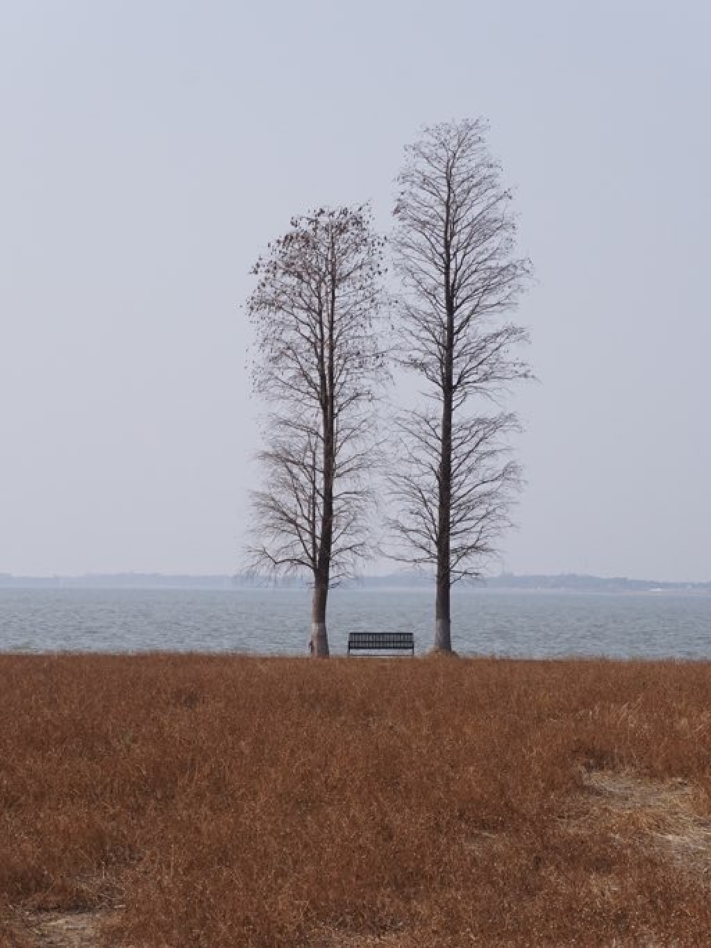 Come here and have some fun