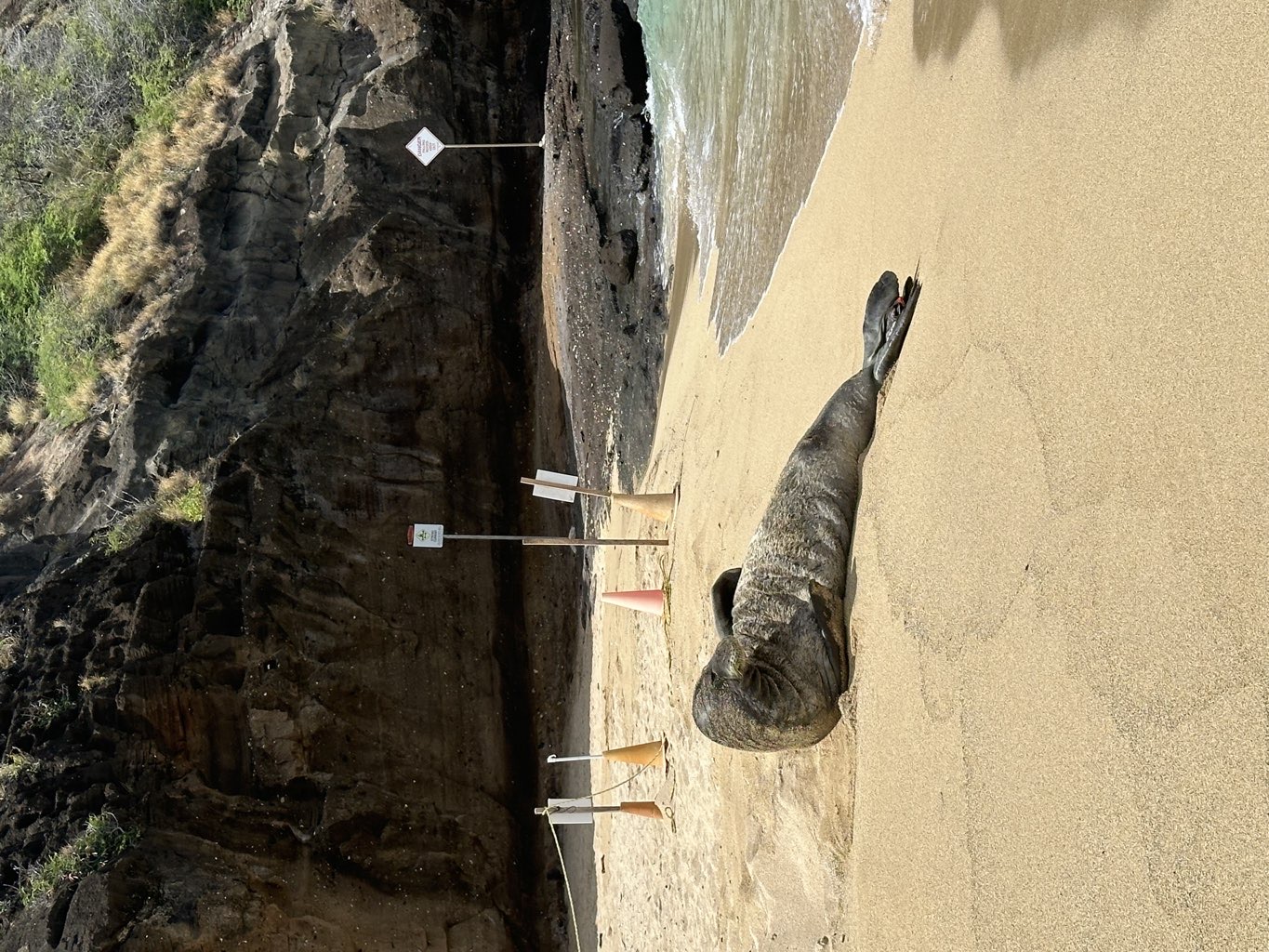 Honaunau Bay is Awesome