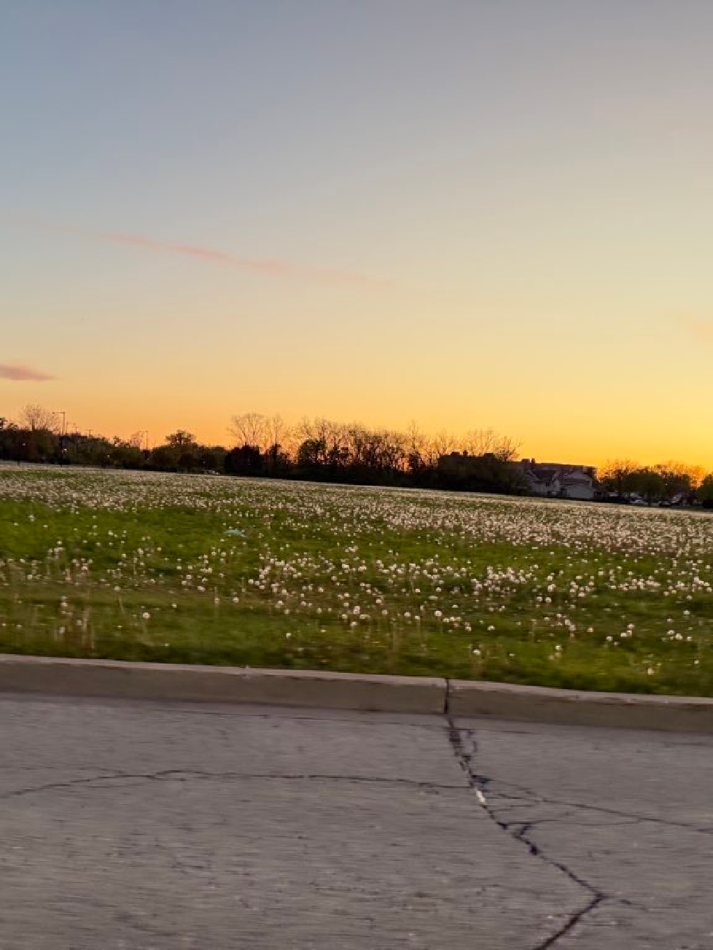 Hi, I'm Mariusz Vengo4! Let's go!