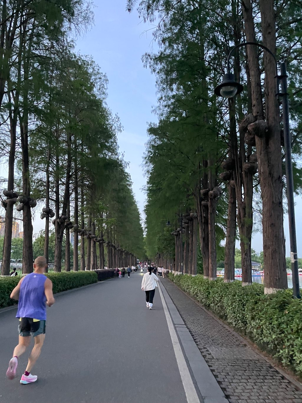 test multiple photos 