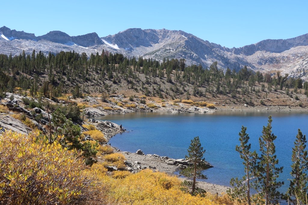 multiple images test