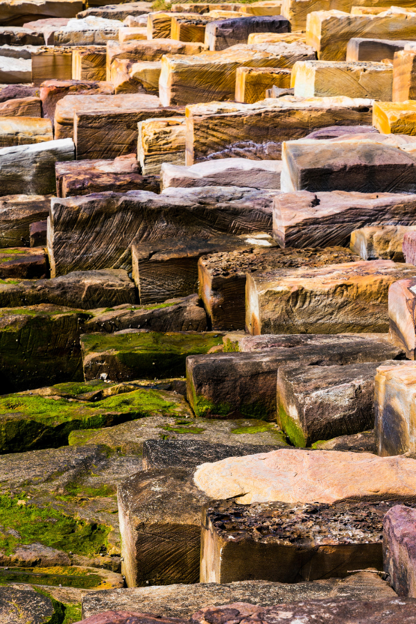 Explore Barangaroo, Darling Harbour and Chinatown in a day — photo 4