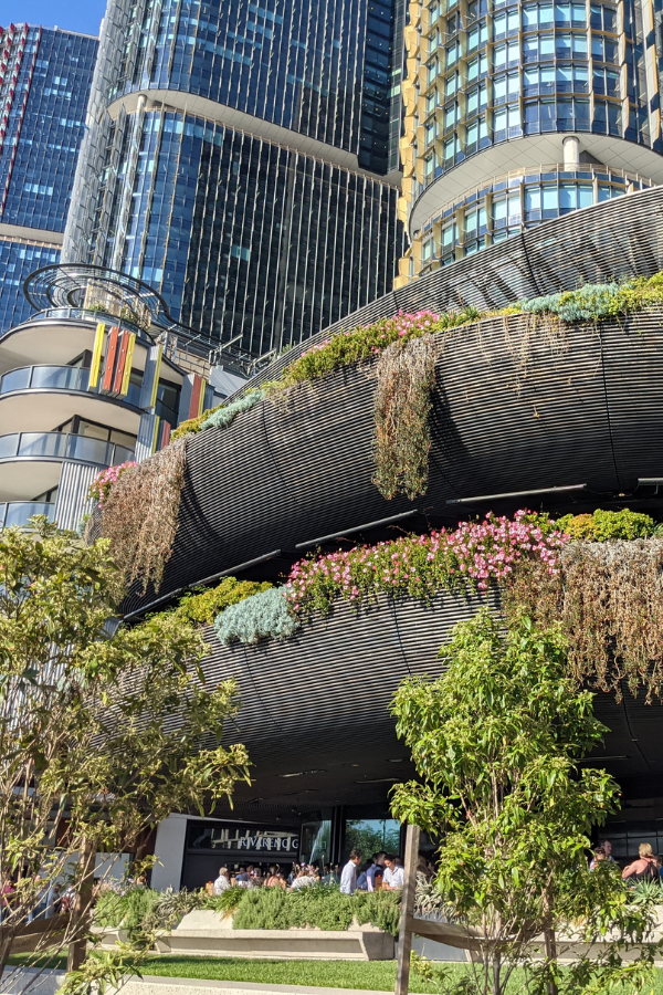 Explore Barangaroo, Darling Harbour and Chinatown in a day — photo 3