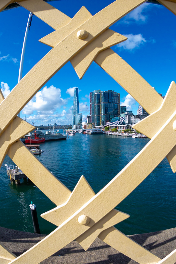 Explore Barangaroo, Darling Harbour and Chinatown in a day — photo 5