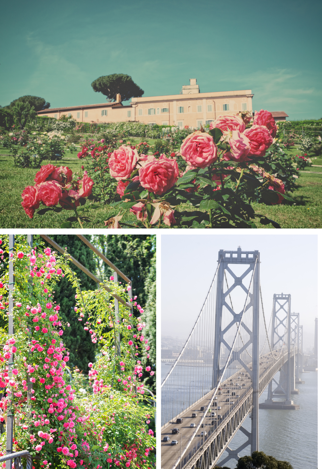 Road trip from LA to San Francisco — photo 2