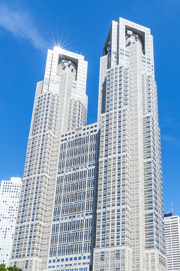 Shinjuku in a Day — photo 2