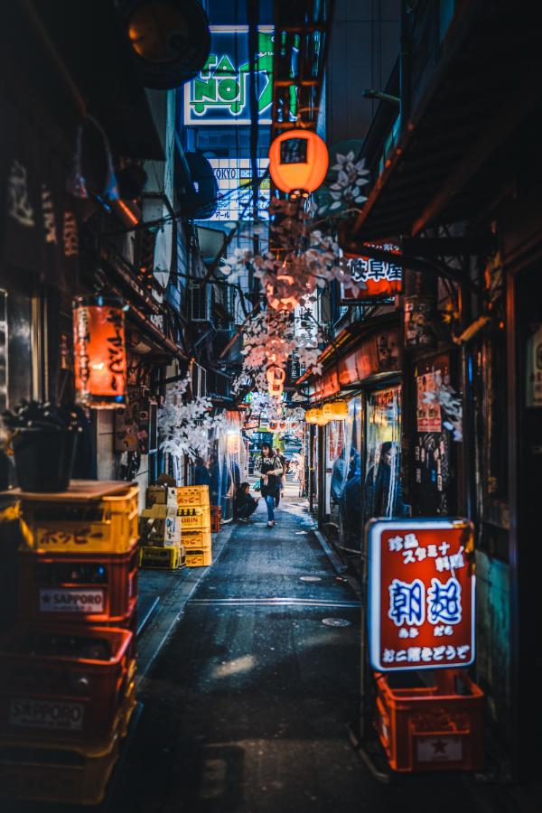 Shinjuku in a Day — photo 3
