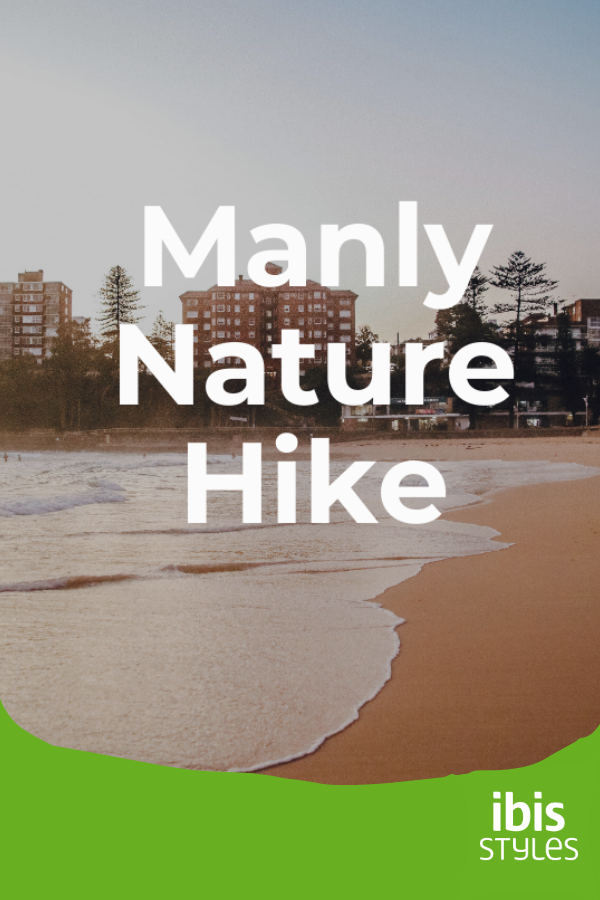 Manly Nature Hike