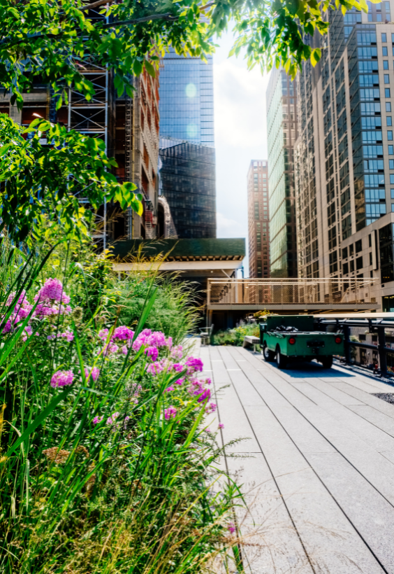 The High Line Art Walk — photo 4