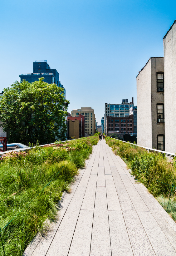 The High Line Art Walk — photo 6