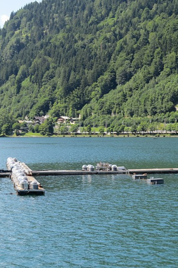 Fun & Unusual Things to Do in Zell am See, Austria — photo 7