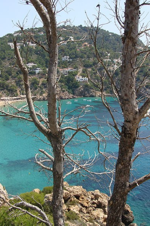 Fun & Unusual Things to Do in Ibiza, Spain — photo 7