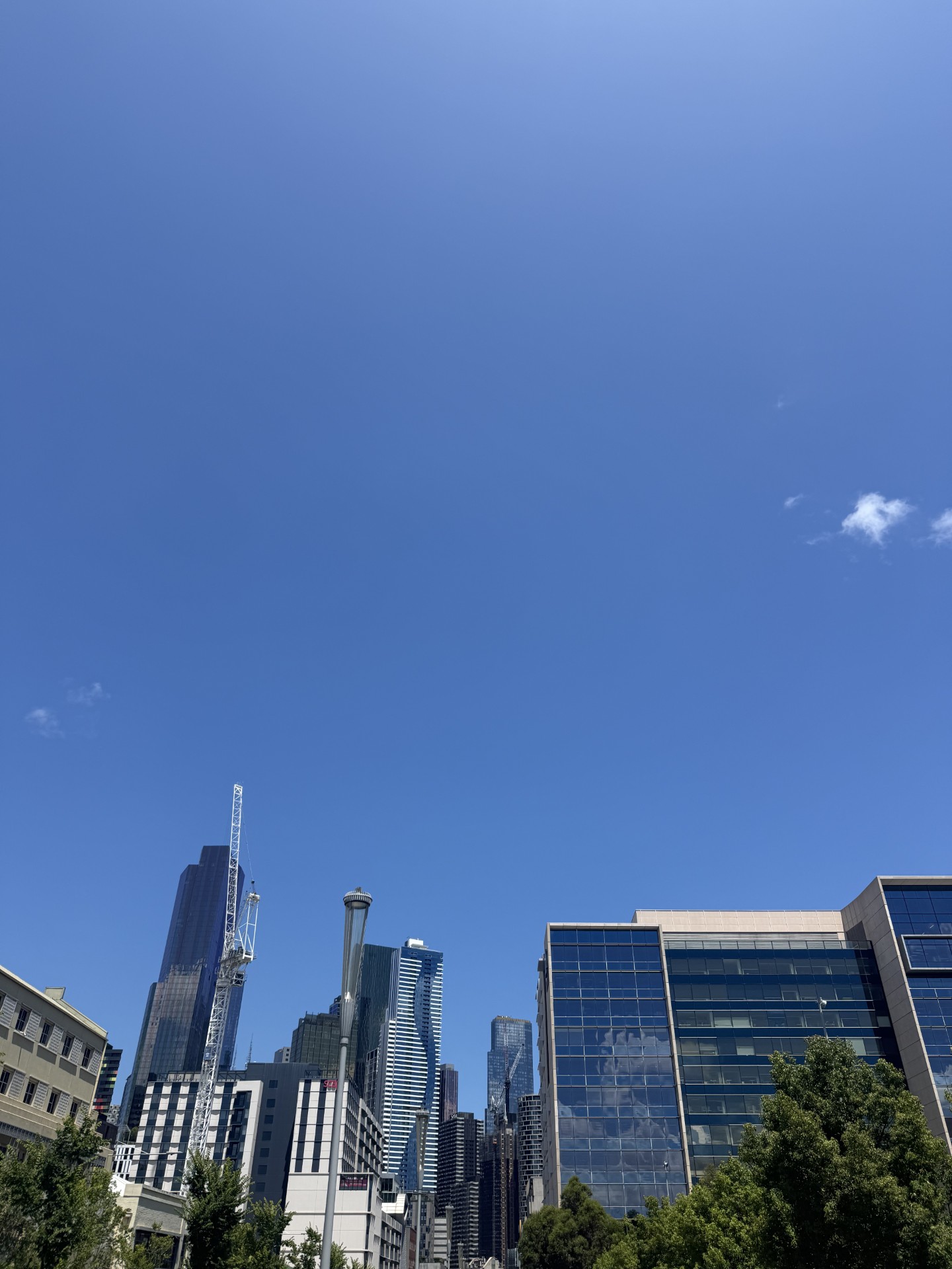 Bony's Relaxed Strolling Day
