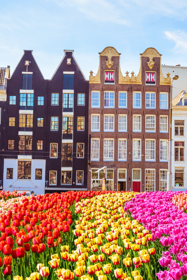 Amsterdam in a Day — photo 3
