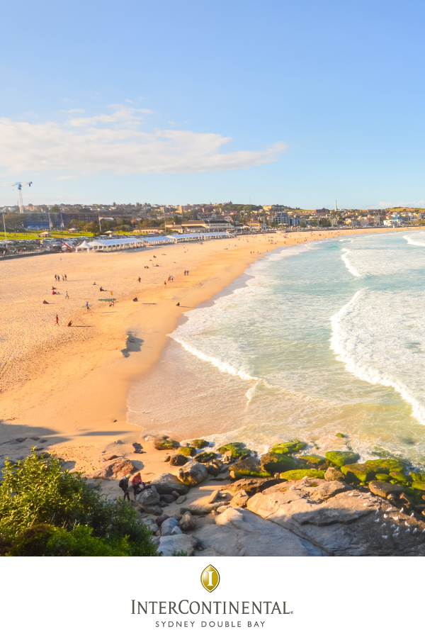 Bondi In a Day