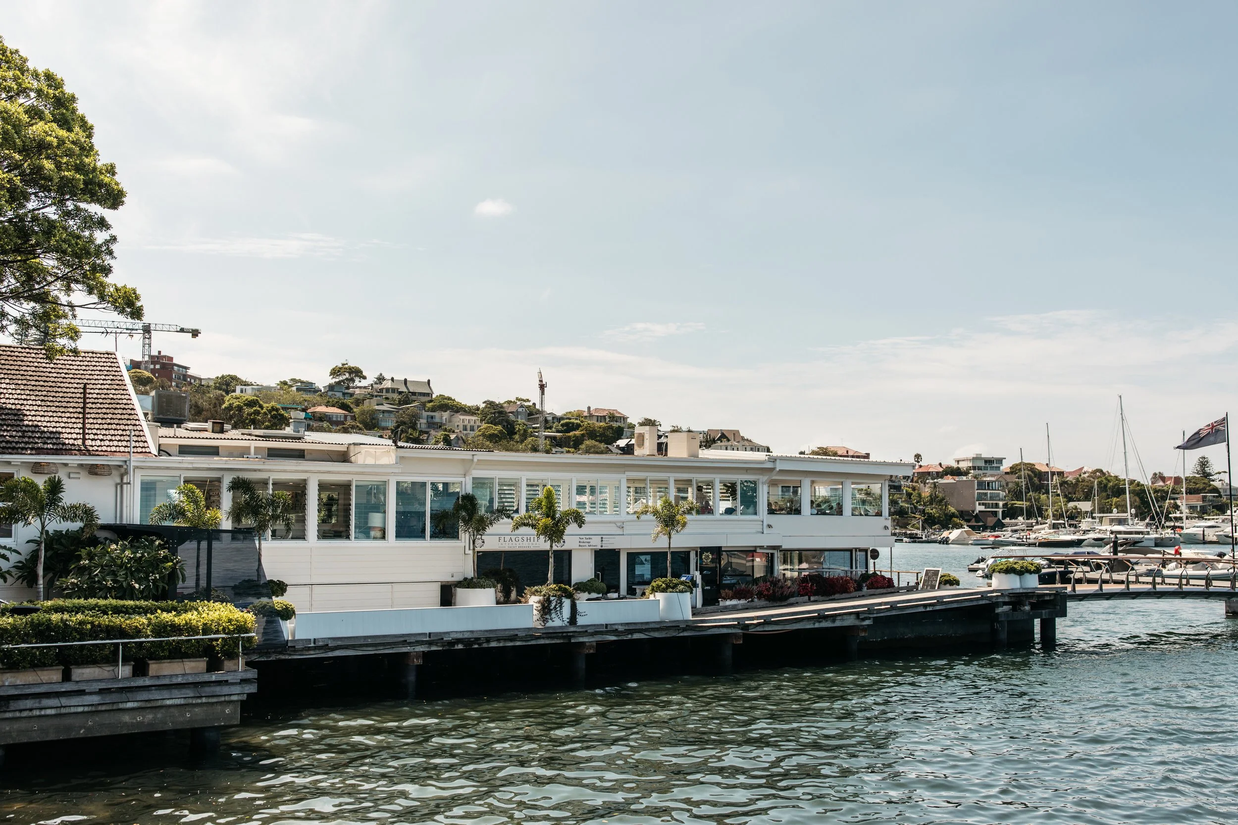 Easy run to Rose Bay — photo 2