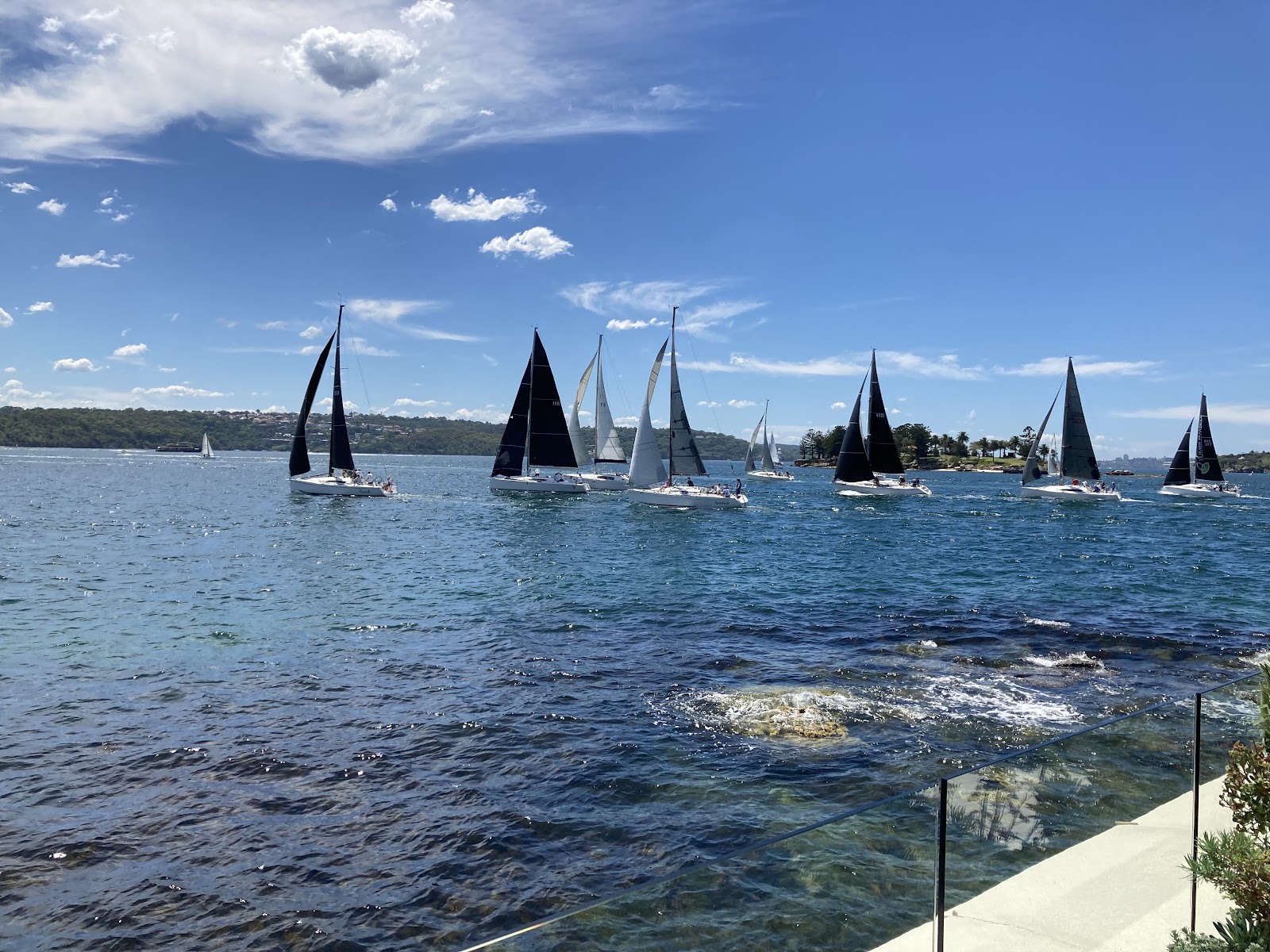 Easy run to Rose Bay — photo 4