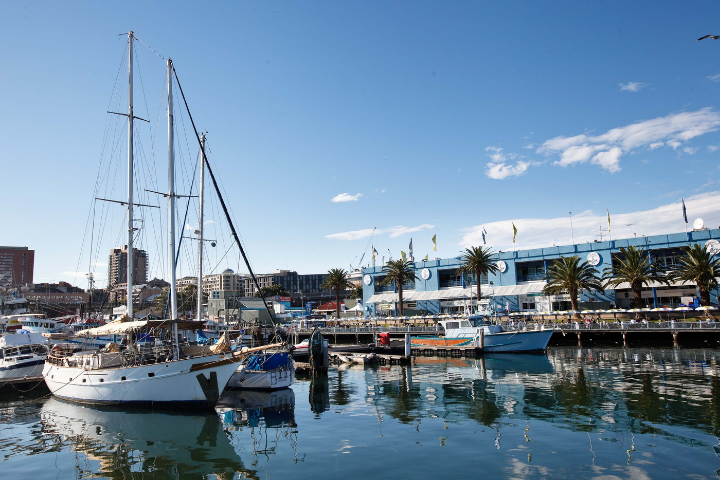 Experience Darling Harbour with ibis Sydney Darling Harbour — photo 6