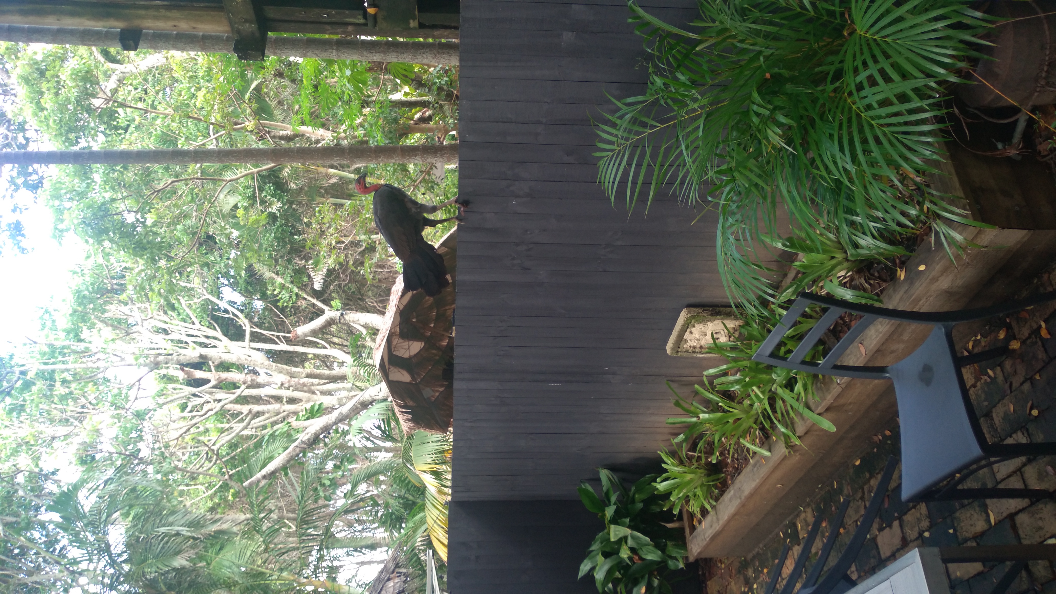 Sawtell and Byron Bay! — photo 2