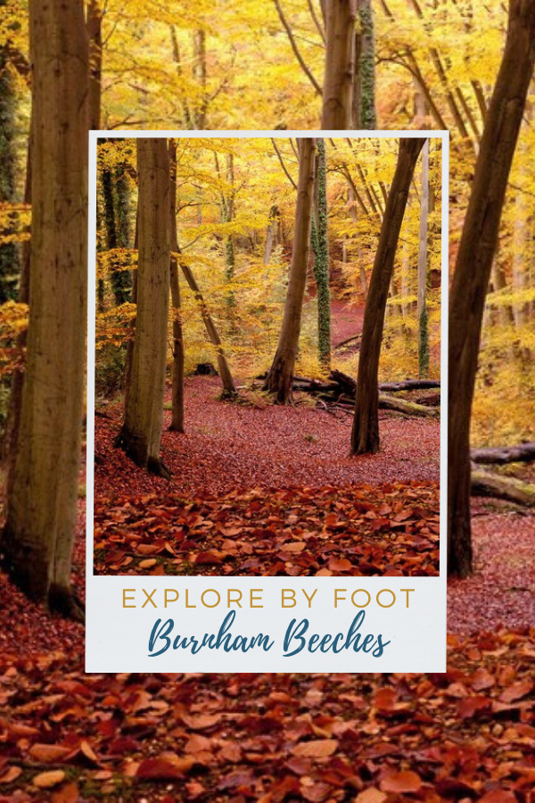 Explore Burnham Beeches By Foot