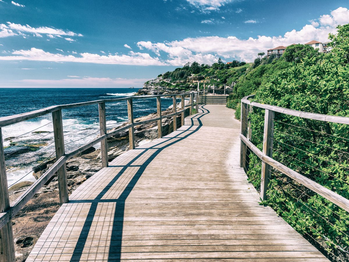 Bondi in a Day — photo 2
